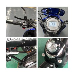 E-RIDE FALCON LEAD ACID