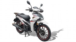 UM FLASH 125 LZ