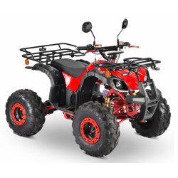 ΗΛΕΚΤΡΙΚΗ ΓΟΥΡΟΥΝΑ E-ATV 2000W